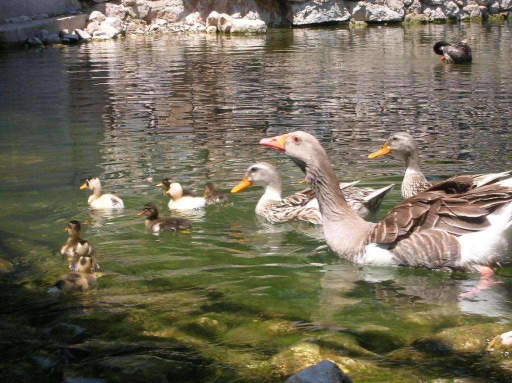 Adrasan River Hotel Kumluca Buitenkant foto